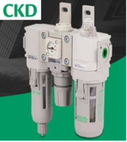 Bộ lọc khí CKD R1000-6-W/Z